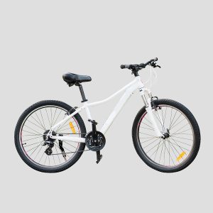 cycle clipping path